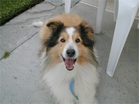 cute lucky!